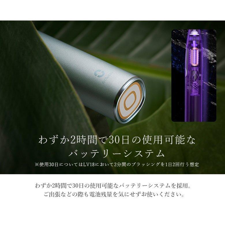 【即日発送】電動歯ブラシ　進化型電動歯ブラシOclean Xpro AURORA PURPLE　歯ブラシ　ハブラシ　電動　高機能　歯磨き｜densidonya｜19