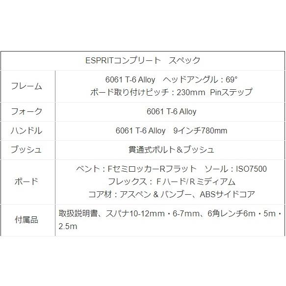 最新 スノーモト エスプリコンプリート 【B3254198146】(114240円)