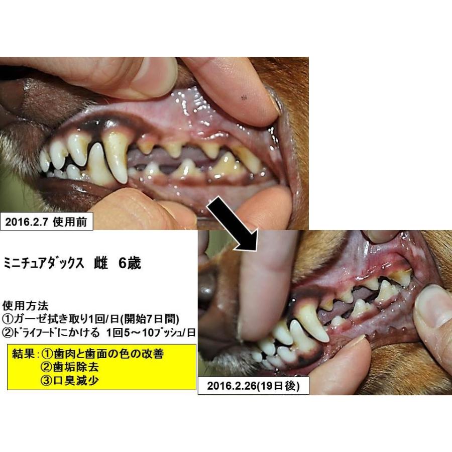 獣医師推奨 Dent Lear デンタリア ペット 口臭 口 歯磨き 口臭ケア 口腔ケア 1111 株式会社at Mark Consul 通販 Yahoo ショッピング