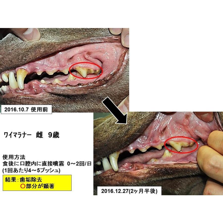 【2本セット】獣医師推奨　DENT@LEAR デンタリア　ペット 口臭 口 歯磨き 口臭ケア 口腔ケア｜dentalear｜03