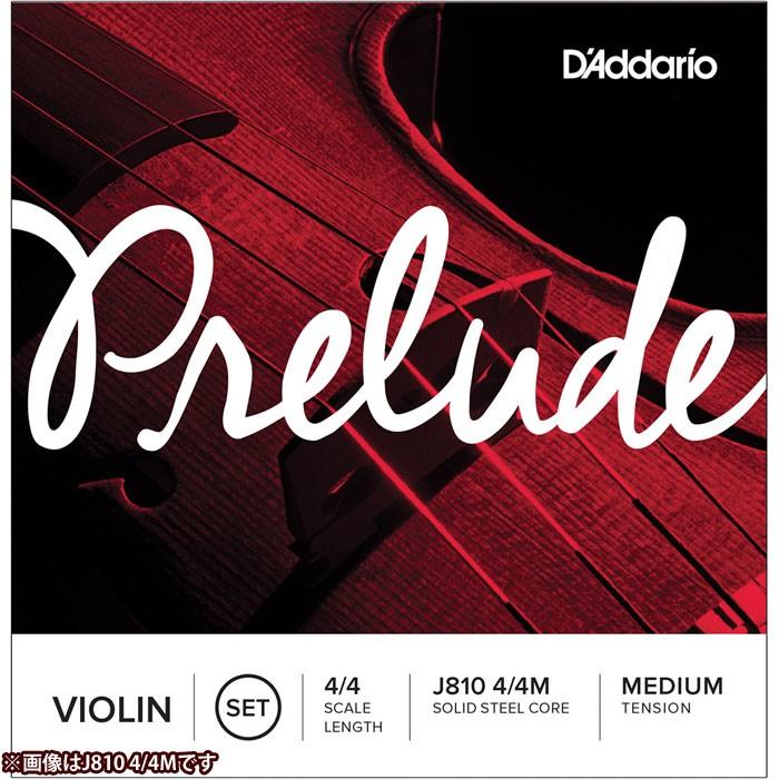 DADDARIO 0019954262082 バイオリン用 バラ弦 Prelude D線 J813 2M Medium Tension 