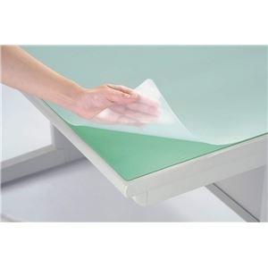 ds-1115273 デスクマット（PRタイプ） ダブル W1355×D620×H3.5mm (ds1115273)