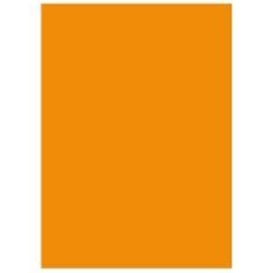 ds-1741332　(業務用5セット)　北越製紙　(ds1741332)　日本製　オレンジ　カラーペーパー　リサイクルコピー用紙