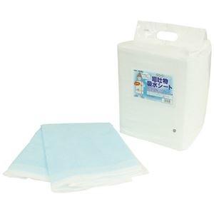ds-2260984 （まとめ）サンワ嘔吐物吸水シート 20枚入 (ds2260984)