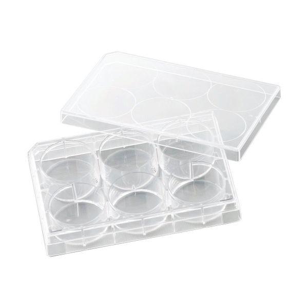 本日限定価格！BUCK-TICK IKONOKRUSM限定版 輸送用箱付き 本日限定価格！BUCK-TICK IKONOKRUSM限定版 輸送用箱付き BUCK-TICK