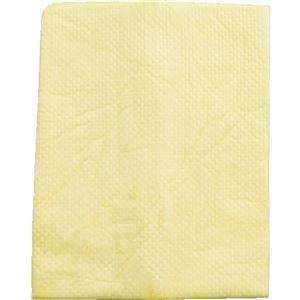 ds-2450276 (まとめ) アイオン 超吸水セーム 911-Y 1枚  (ds2450276)