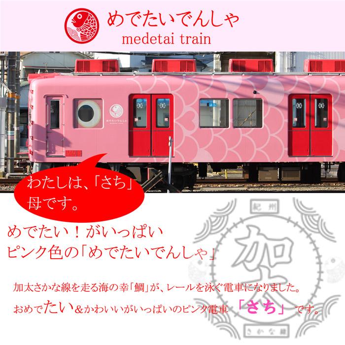 クリスマス プレゼント 電車 tシャツ メンズ 半袖 加太さかな線 ワンポイント 南海 めでたい電車 和歌山 観光列車 鉄道 グッズ 大人 おしゃれ ゆったり 許諾済 |  | 07