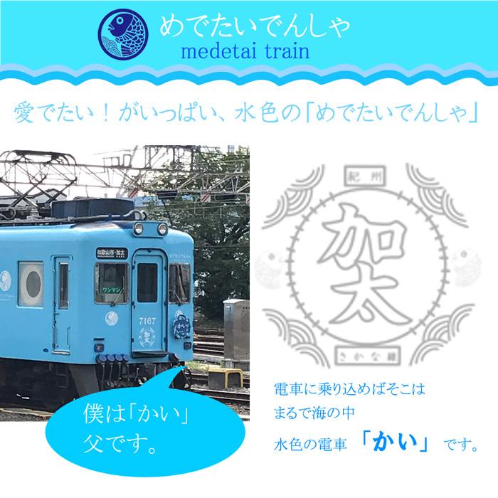 クリスマス プレゼント 電車 tシャツ メンズ 半袖 加太さかな線 ワンポイント 南海 めでたい電車 和歌山 観光列車 鉄道 グッズ 大人 おしゃれ ゆったり 許諾済 |  | 08