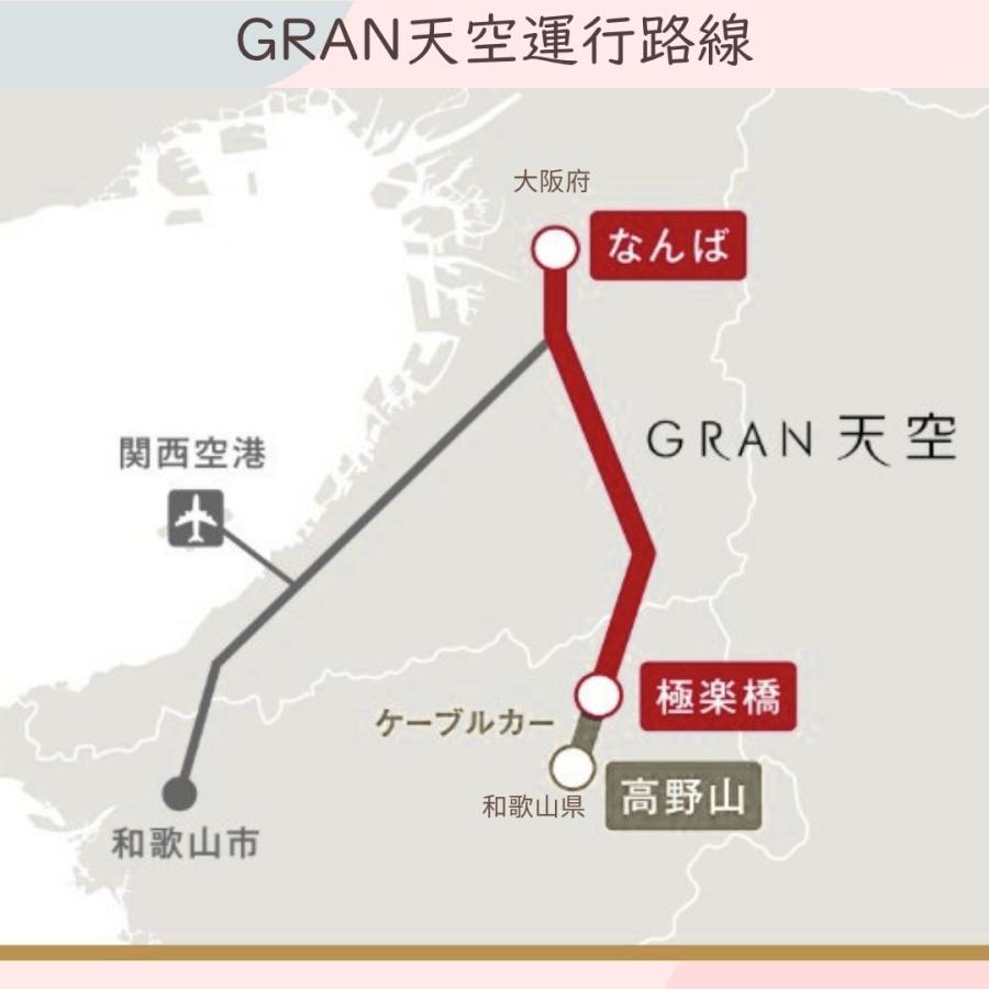 夏休み 旅行 電車 トートバック 南海 GRAN 天空 鉄道グッズ 鉄道ファン 観光電車 キャンパス a4 縦型 帆布 キッズ 子供 大人 乗り物 誕生日 鉄道 許諾済 |  | 04