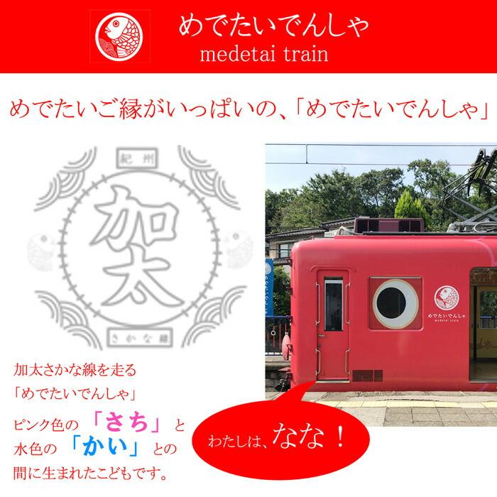 鉄道 電車 Tシャツ メンズ 子ども トートバッグ ふろしき 父の日 運動会 旅行 南海電車 めでたいでんしゃ 加太線 セット 3点 ギフトセット 大人 |  | 11