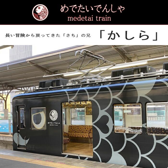 鉄道 電車 Tシャツ メンズ 子ども トートバッグ ふろしき 父の日 運動会 旅行 南海電車 めでたいでんしゃ 加太線 セット 3点 ギフトセット 大人 |  | 12