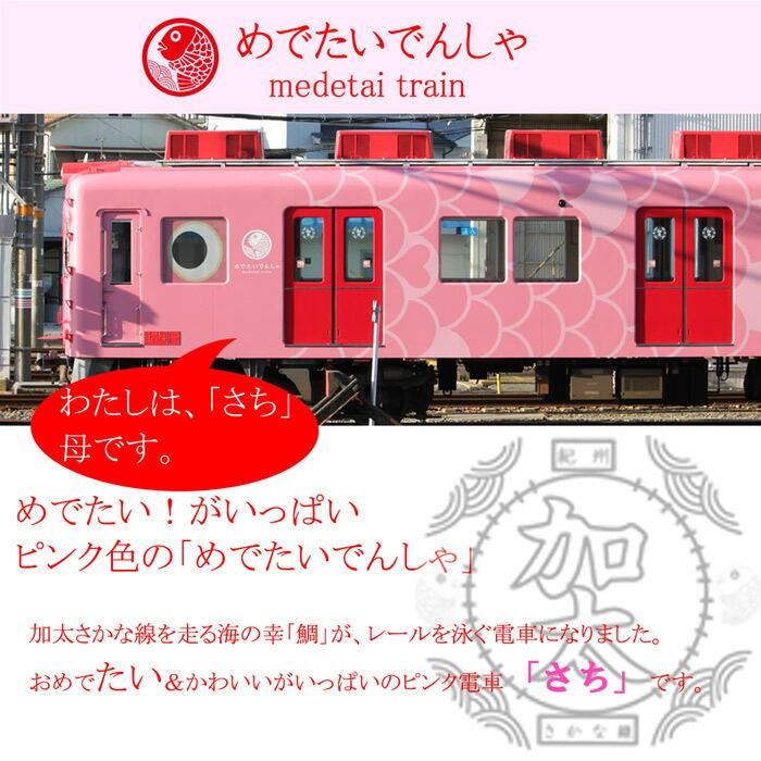 鉄道 電車 Tシャツ メンズ 子ども トートバッグ ふろしき 父の日 運動会 旅行 南海電車 めでたいでんしゃ 加太線 セット 3点 ギフトセット 大人 |  | 09