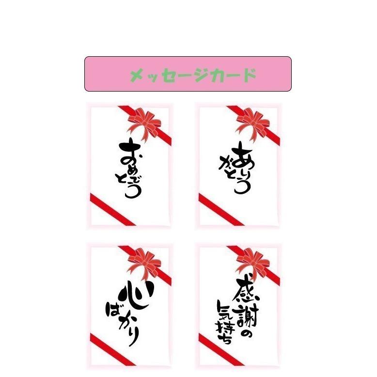 クリスマス プレゼント ｔシャツ 大人 親子 ペア 孫 白 メンズ おしゃれ 夏 パンダ グッズ 半袖  マ パパ  レディース 誕生日 だるま  送料無料 許諾済 |  | 14