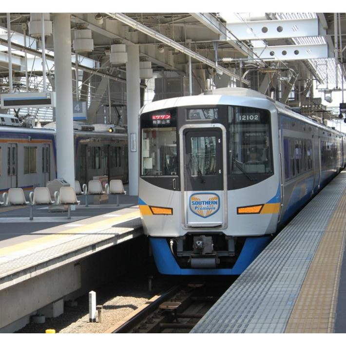 新生活 新春 電車 tシャツ キッズ 特急 サザンプレミアム 子供 男子 半袖 電車のtシャツ 小学生 鉄道グッズ 南海 100 〜 150 誕生日 許諾済 |  | 09