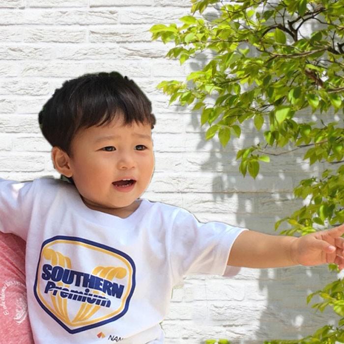 新生活 新春 電車 tシャツ キッズ 特急 サザンプレミアム 子供 男子 半袖 電車のtシャツ 小学生 鉄道グッズ 南海 100 〜 150 誕生日 許諾済 |  | 04