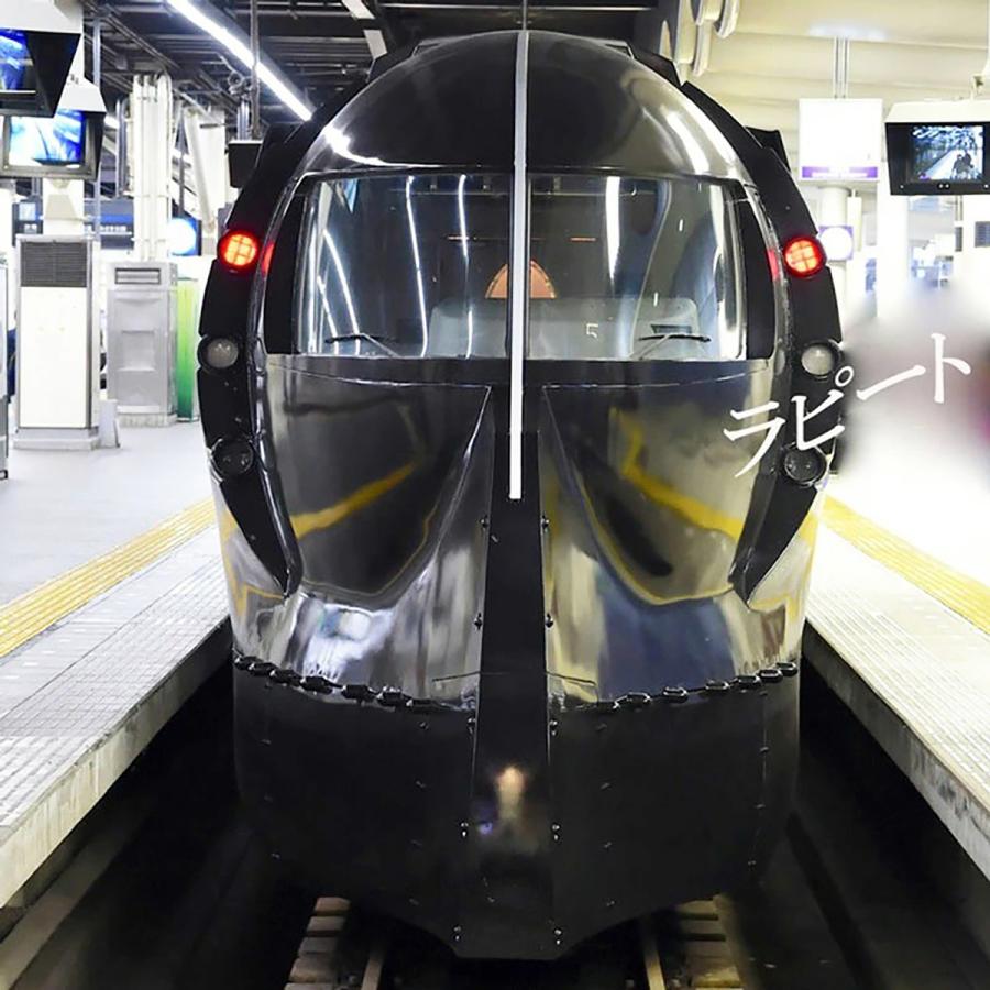 新生活 電車 tシャツ 半袖 キッズ 男の子 子供服 南海 ラピート サザン 鉄道グッズ  小学生 子供  おしゃれ 誕生日プレゼント 許諾済 |  | 13