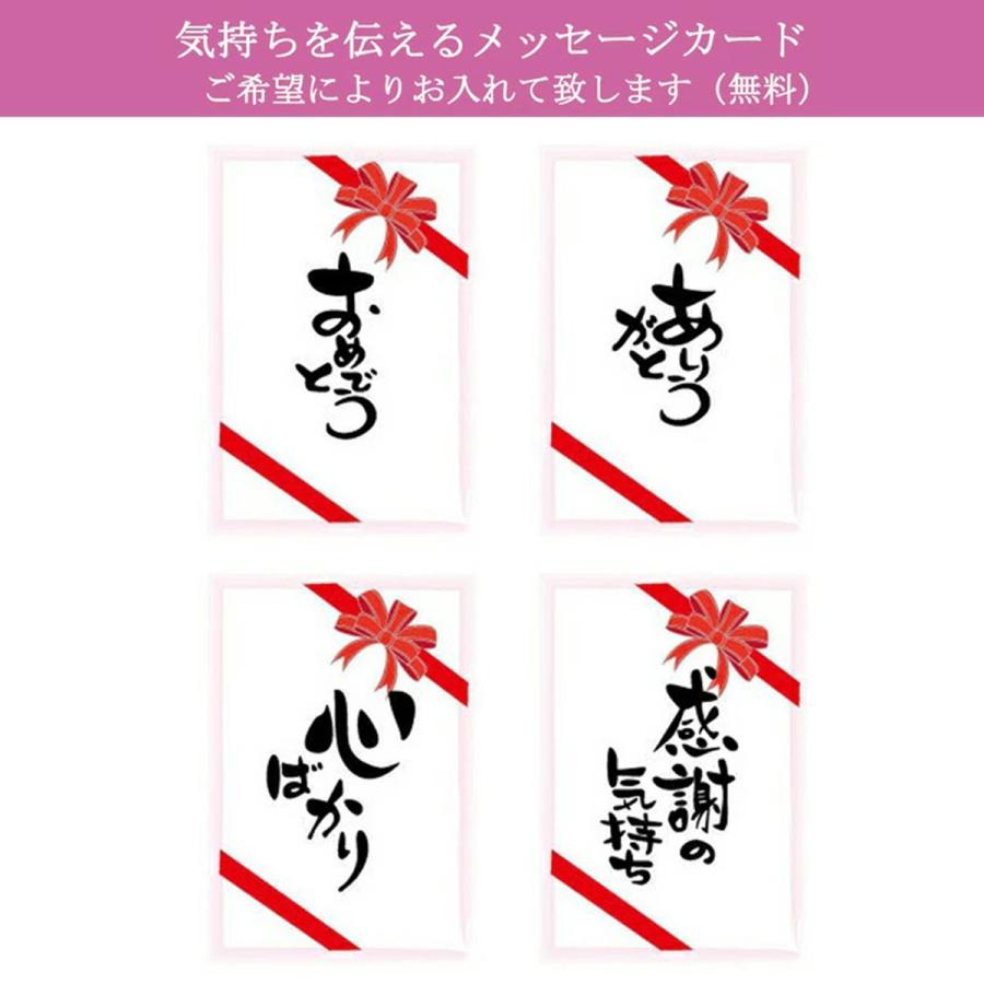 tシャツ メンズ 半袖 電車Tシャツ 70代 40代 50代 60代 電車のtシャツ 鉄道グッズ 鉄道ファン 南海電車 大人 おしゃれ 大きい ゆったり 誕生日プレゼント｜dentetsuplus｜19