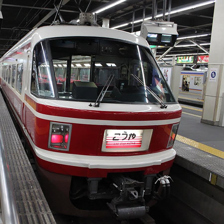 新生活 新春 電車Tシャツ ２枚 南海 高野線 特急 鉄道 tシャツ 電車tシャツ 大人 メンズ 男の子 キッズ 鉄道コレクション 誕生日 許諾済 |  | 05