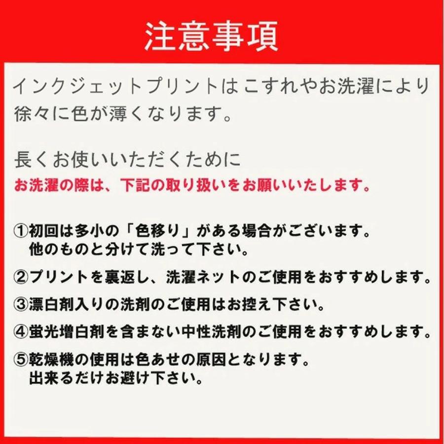 tシャツ メンズ 半袖 電車Tシャツ プレゼント 電車のtシャツ 70代 40代 50代 60代 泉北高速鉄道 電車 鉄道グッズ おしゃれ ゆったり 大きい 誕生日 おもしろt｜dentetsuplus｜12