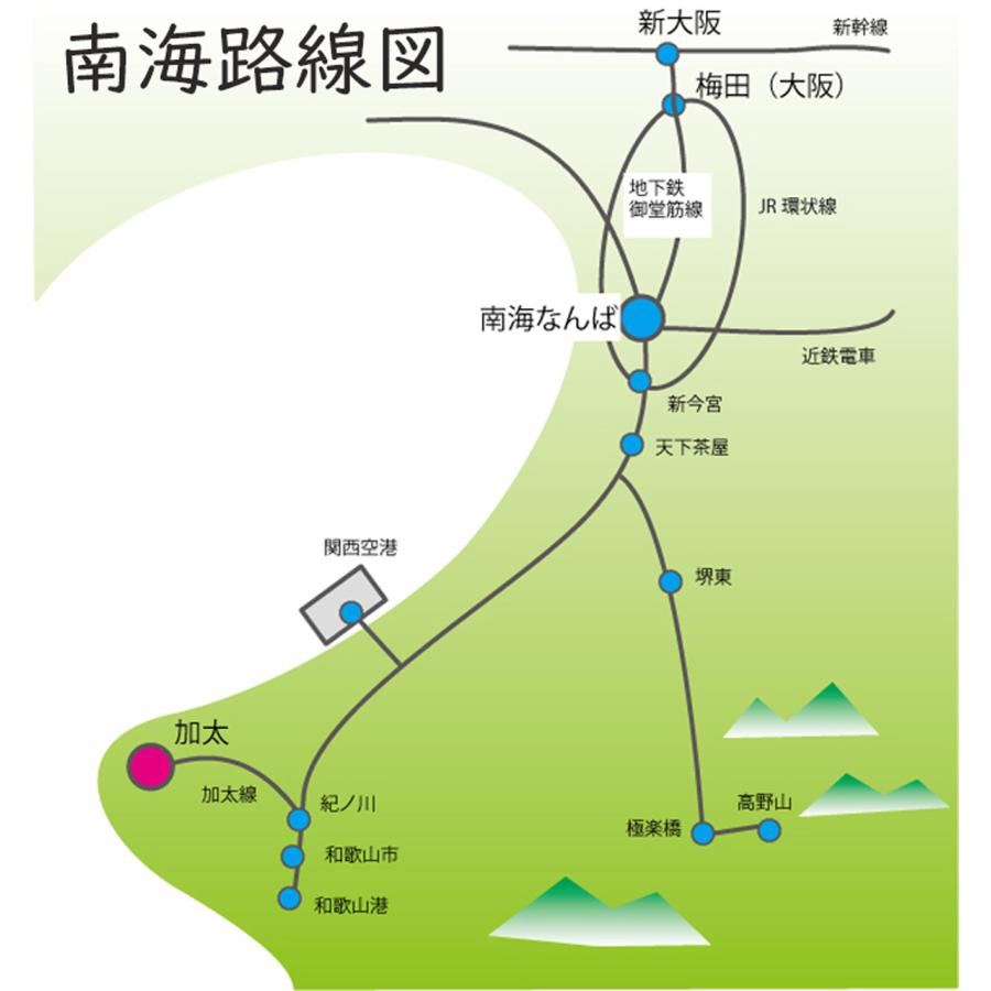 新生活 新春 tシャツ メンズ 半袖 電車好き 加太さかな線 40代 50代 60代 鉄道グッズ 鉄道ファン 南海 撮り鉄 和歌山 大きい ゆったり 誕生日 許諾済 |  | 07