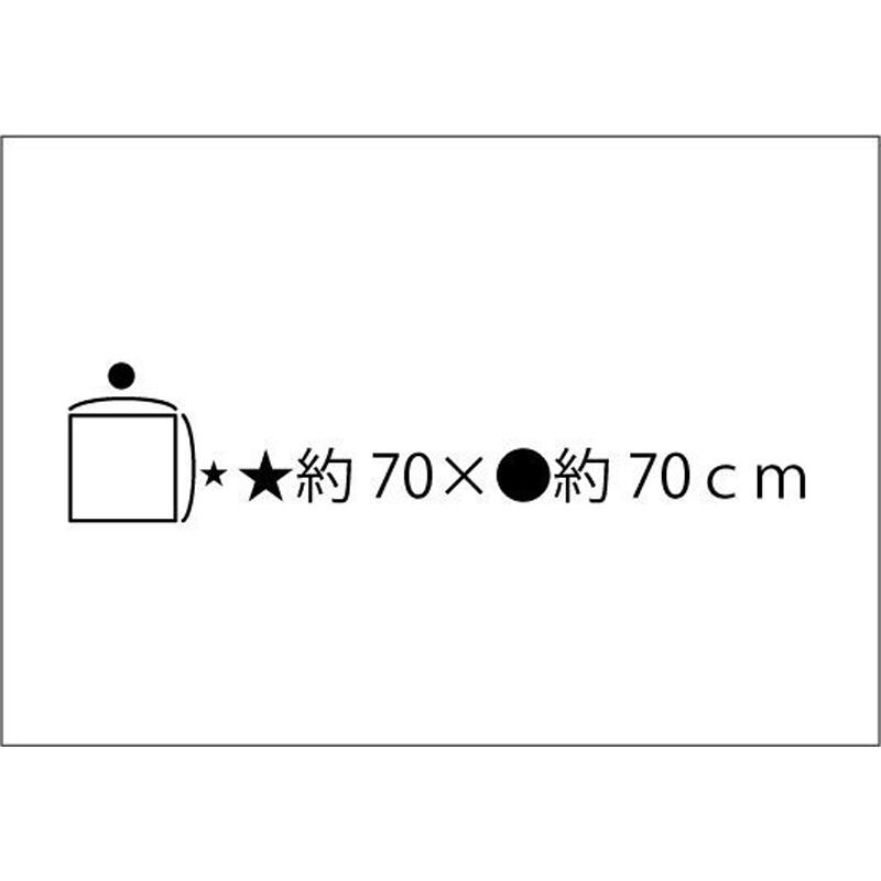 新生活 鉄道グッズ 電車柄 風呂敷 70cm 子鉄 電車 南海 鉄道ファン 鉄道コレクション 幼稚園 保育園 小学校 通園 通学  子供  日本製 許諾済 |  | 12