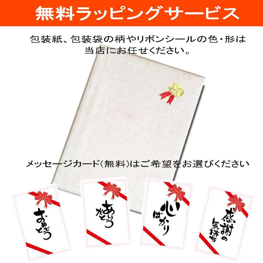クリスマス プレゼント 電車 tシャツ キッズ 子供 大人 メンズ レディース 親子 半袖 鉄道 JR四国 直流特急 8000系 しおかぜ 鉄道 許諾済 |  | 17