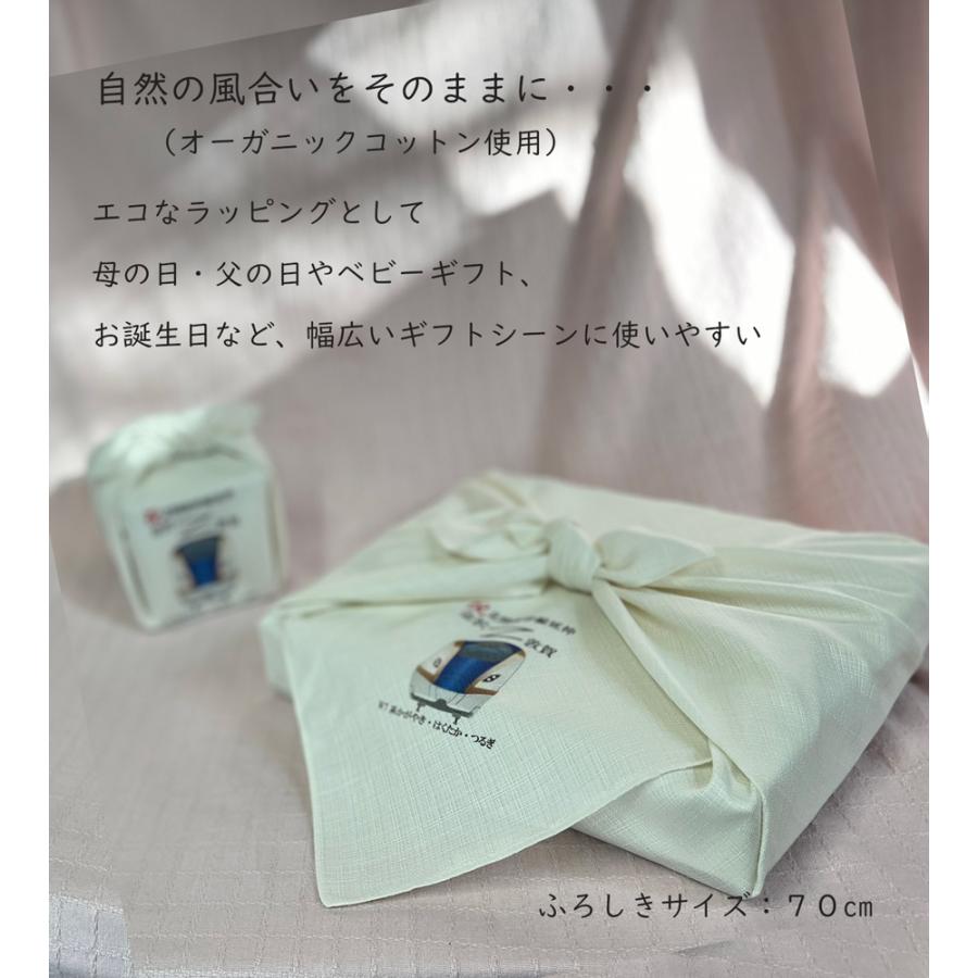 新生活 鉄道グッズ 電車柄 風呂敷 70cm 北陸新幹線 延伸記念 めでたい電車 鉄道コレクション 幼稚園 保育園 小学校 子供 日本製 許諾済 |  | 05