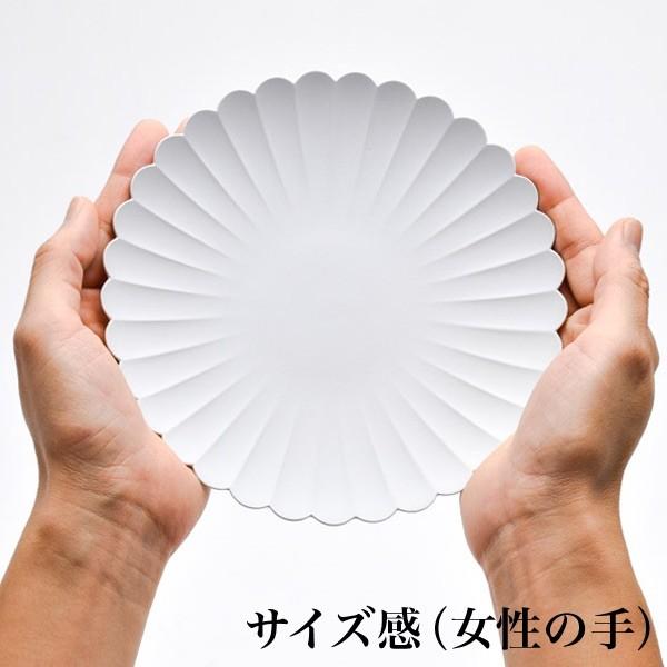 TY Palace(パレス) 160mm 4枚セット 化粧箱入り ( 1616 / arita