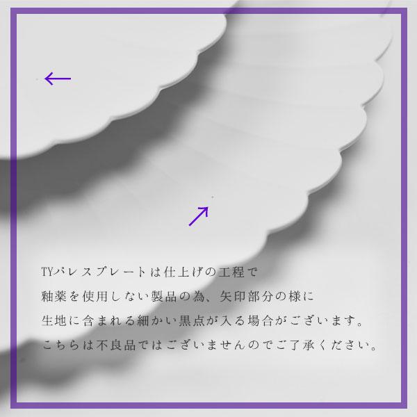TY Palace(パレス) 110mm 5枚セット 紙箱入り ( 1616 / arita japan