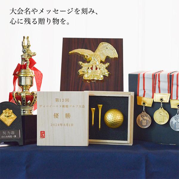 ゴルフボール＆ティーセット (シングル) 名入れ彫刻料込み ( 箔一 あす