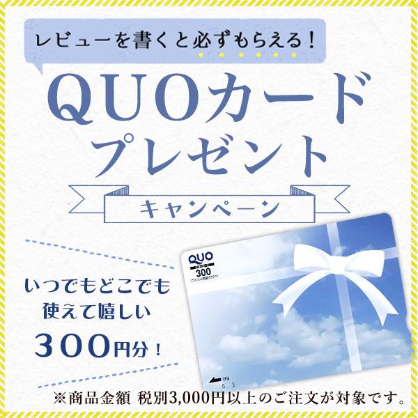 耐熱マグカップ OVENWARE グレー ( OVENWARE プレゼント デザイン マグ オリジナル タンブラー 波佐見焼 結婚 出産 内祝い 引き出物 金婚式 )｜dentouhonpo｜10