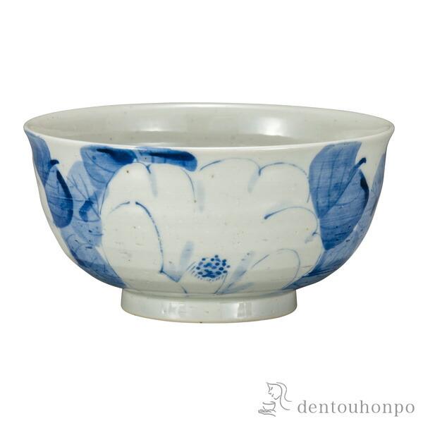 現品】 アガベ チタノタ 白鯨 大株 超良血統 陶器鉢セット アガベ