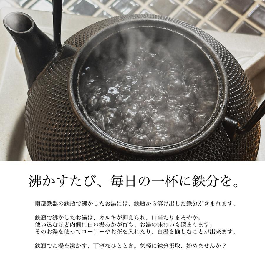 岩鋳（IWACHU） 南部鉄器 鉄瓶兼用急須 新アラレ 直火用 3型 320ml