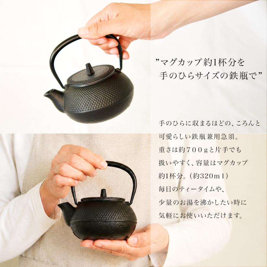 岩鋳（IWACHU） 南部鉄器 鉄瓶兼用急須 新アラレ 直火用 3型 320ml