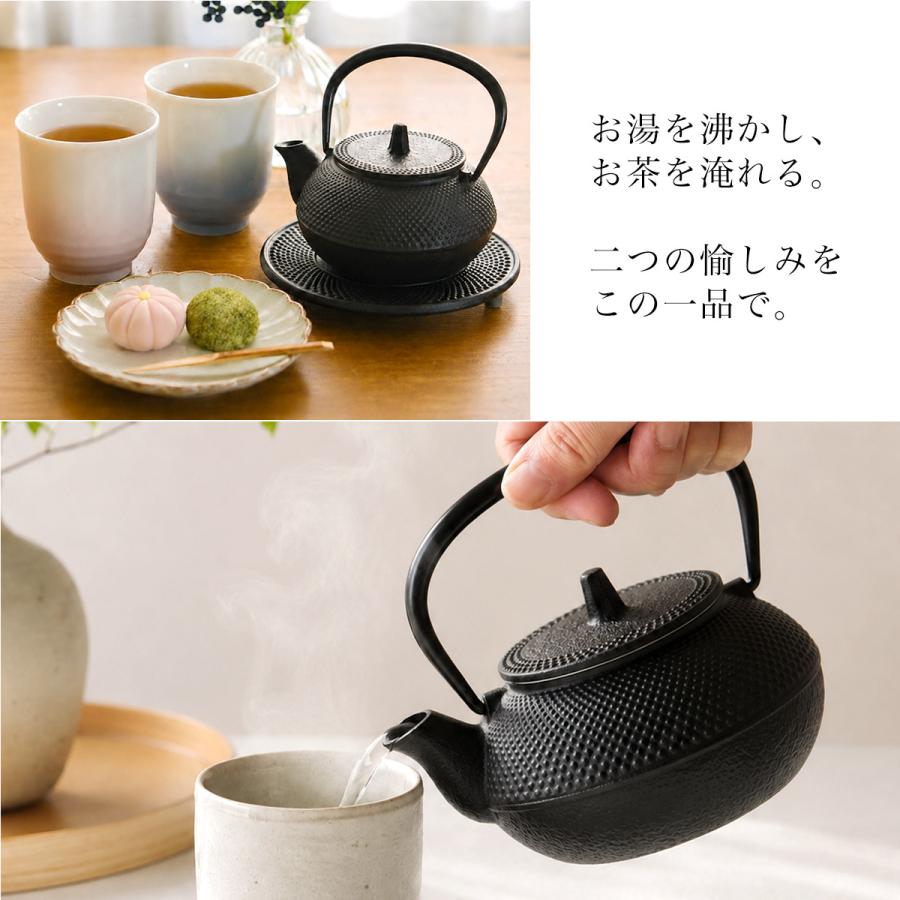 岩鋳（IWACHU） 南部鉄器 鉄瓶兼用急須 新アラレ 直火用 3型 320ml