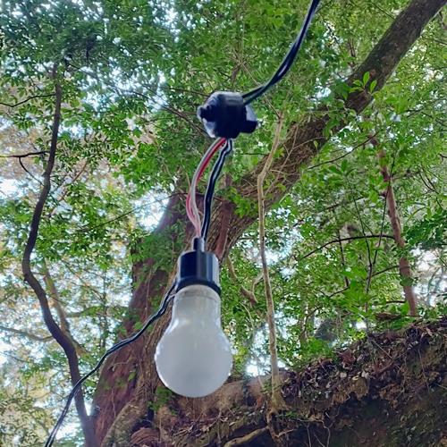 青山電陶 提灯用ソケット 66コネクター付 E26 ベークソケット