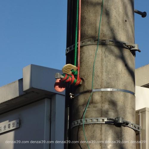 開閉器用 PAS紐用 樹脂製 入切ニギリ 小判型 | ブランド登録なし | 02