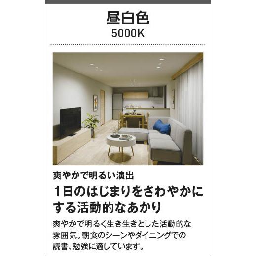 コイズミ照明 【当日発送OK】AD7000W50 LED軒下用ダウンライト 100φ
