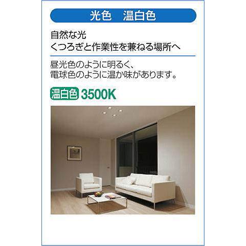大光電機 (在庫あり!) DDL-5102AW LEDダウンライト 軒下兼用 白熱灯60W
