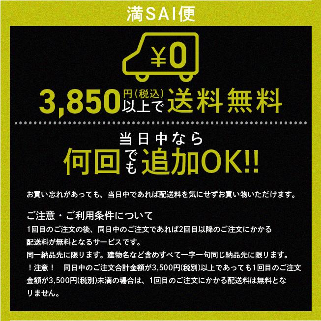 ホーチキ（HOCHIKI） 【当日発送OK！】ホーチキ TOCHIKI CHW-R4(D2/H4