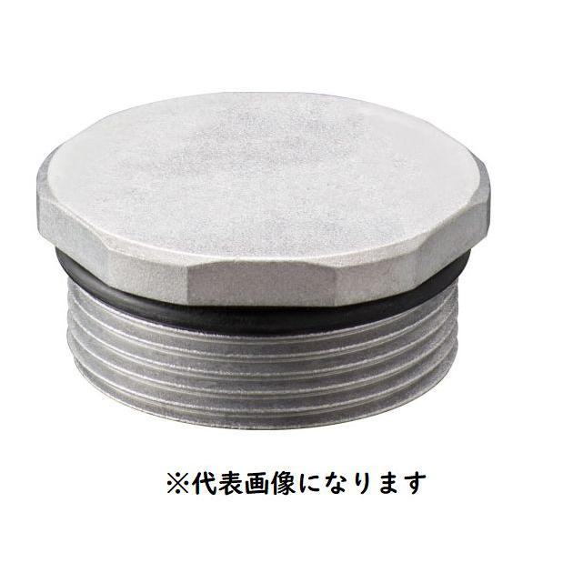 在庫あり 岩崎電気 EXP42S 防爆 プラグ 配管付属品 d2G4 インボイス領収書可能 : 電材110番 - 通販 - Yahoo!ショッピング