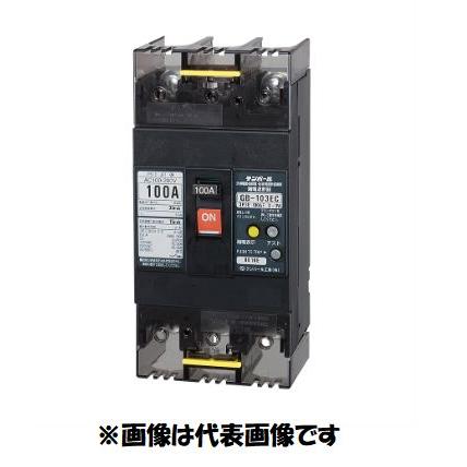 新品未使用 テンパール 漏電遮断器 ブレーカー GB-103EC 【公式