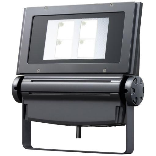 東北〜九州 送料無料！ 岩崎電気 レディオック フラッド ネオ ECF1892N