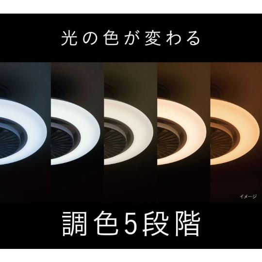 新品 DOSHISHA ドウシシャ DCC-SW06EC サーキュライト DOSHISHA シーリングライト 選べる豪華特典 サーキュレーター