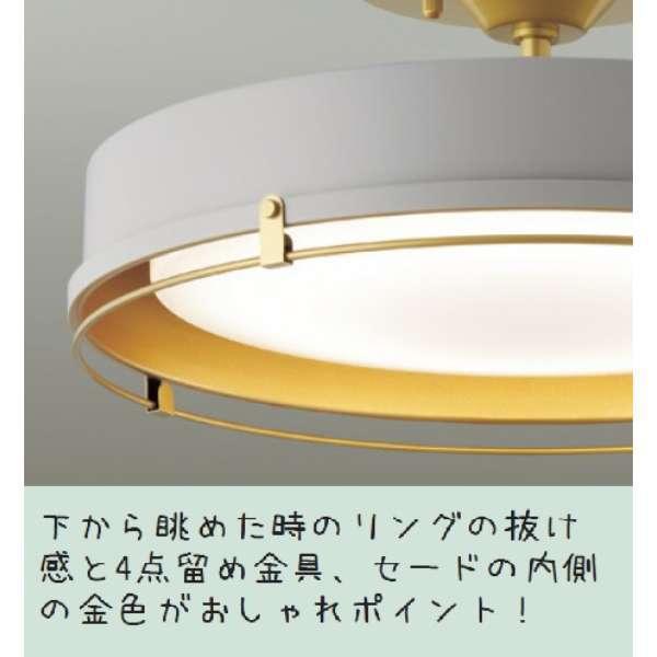 DAIKO DXL-81420 LEDシーリングライト ペールグレー12畳 /昼光色 DAIKO DXL-81420 LEDシーリングライト ペールグレー12畳 /昼光色
