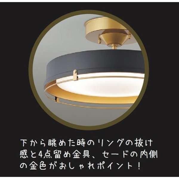DAIKO DXL-81430 LEDシーリングライト ブラック 12畳 /昼光色 DAIKO DXL-81430 LEDシーリングライト ブラック 12畳 /昼光色