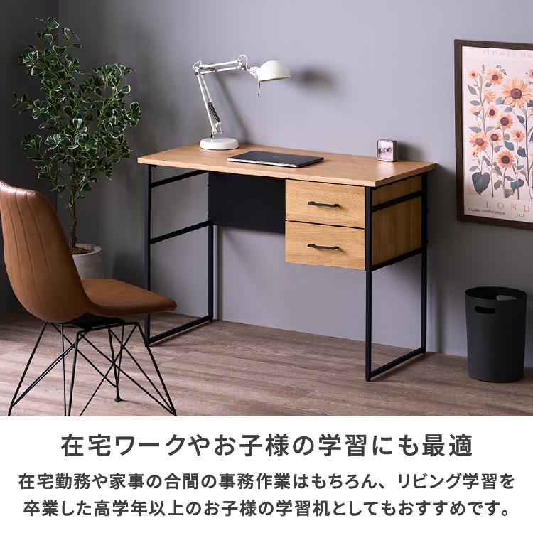 一生紀（ISSEIKI） デスク スリム 机 幅100 PCデスク おすすめ 書斎机
