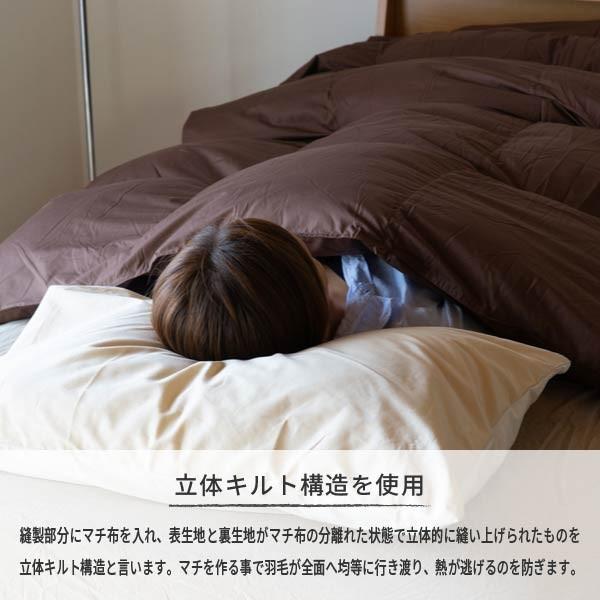 一生紀（ISSEIKI） 【アウトレット】 羽毛布団 シングル ダウン ネルラ