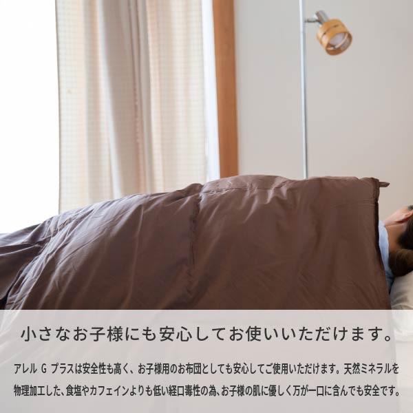 一生紀（ISSEIKI） 【アウトレット】 羽毛布団 シングル ダウン ネルラ