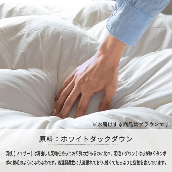 一生紀（ISSEIKI） 【アウトレット】 羽毛布団 シングル ダウン ネルラ